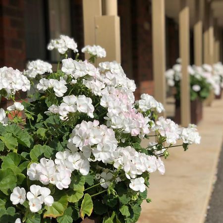 Elm Tree Motel Warrnambool Luaran gambar