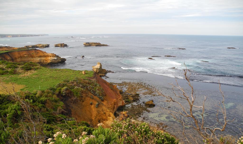 Elm Tree Motel Warrnambool Luaran gambar